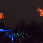 porteparlevent_evenement_spectaclenuit_fete ds lumieres lyon – 2014 carpes