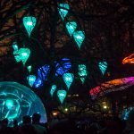 Jardin d&rsquo;hier – Fête des lumières – Lyon6