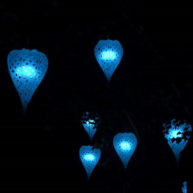 chartres-en-lumiere-2016-porte-par-le-vent-amour-en-cage-festival-lumiere